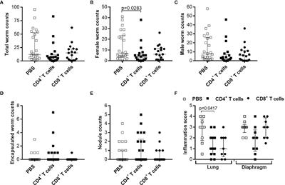 Adoptive Transfer of Immune Cells Into RAG2IL-2Rγ-Deficient Mice During Litomosoides sigmodontis Infection: A Novel Approach to Investigate Filarial-Specific Immune Responses